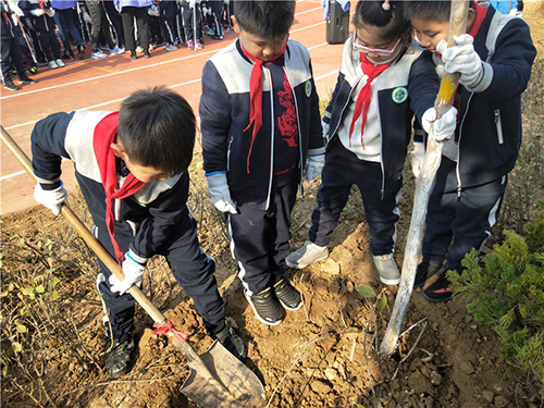 樹恩小學(xué)生參加植樹活動(dòng)